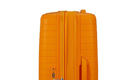Expandability