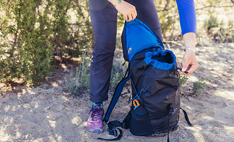 Todo lo que necesitas