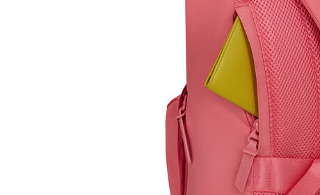 Secret back compartment