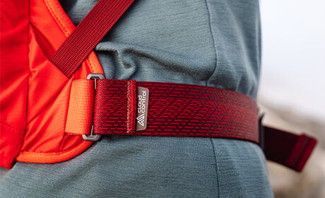 Libertad de movimiento