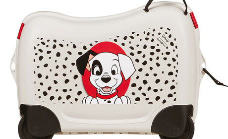 Correa multifuncional