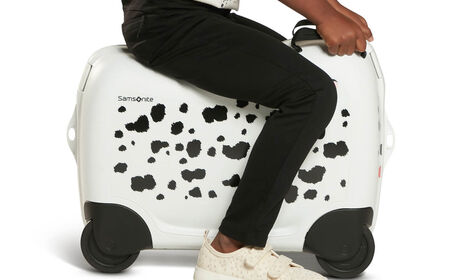Sturdy wheels