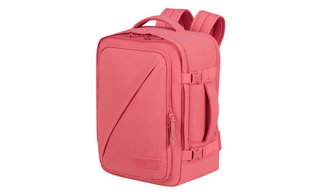 Política de equipaje de mano gratuito a bordo de Ryanair y Wizz Air