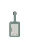 American Tourister American Tourist. Ta Luggage Tag X2  Iceberg Green