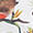 Birds Blossom Birds Blossom