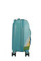 Wondertrips Cabin luggage