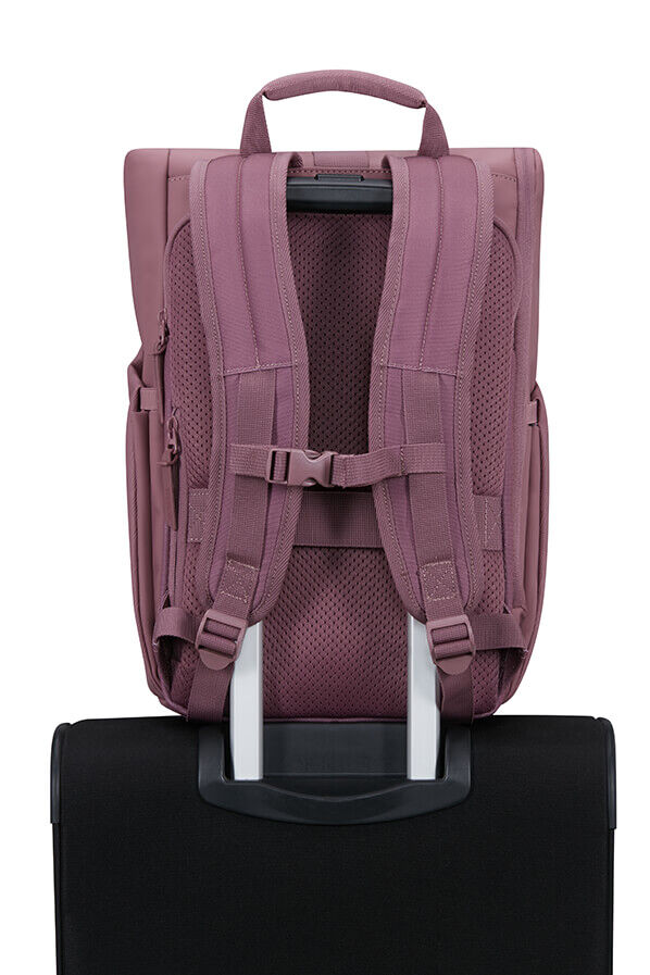 Urban Tide Backpack 14'' rolltop 14" | American Tourister Urban Tide Rolltop Laptop Backpack 14'  Galactic Mauve