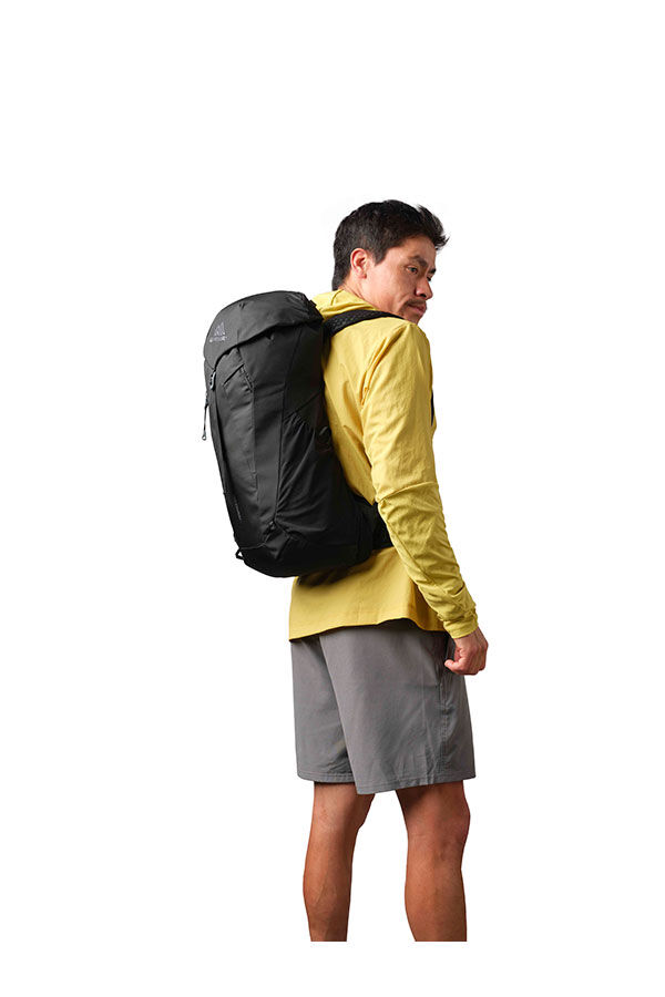 Gregory  Arrio 22 RC  Amber Haze