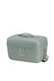 Samsonite Image Beauty Case  Thyme Samsonite Image Beauty Case  Thyme