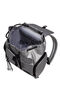 Samsonite Wander Last Backpack 3PKT 1 Buckle  Plata Metalizado
